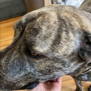 Meet your Posher, Kaitlin